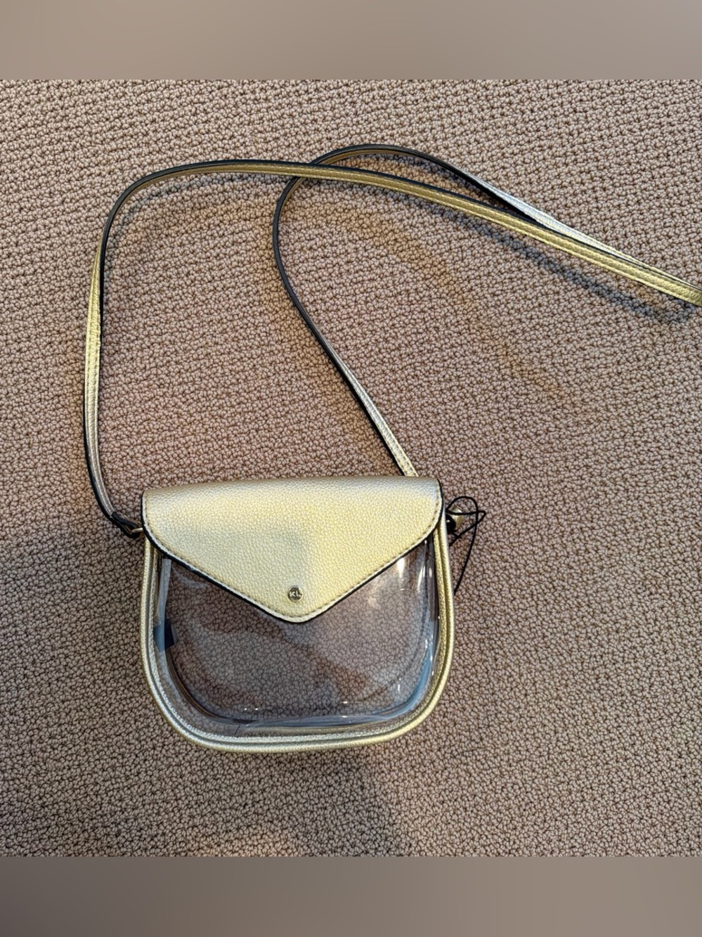 Zara Gold Metallic Clear Crossbody Bag (GAME DAY/CONCERT PURSE)